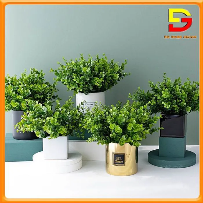 Chậu Cây Kim Tiền Xanh Cây Giả Decor Để Bàn Làm Việc Trang Trí Nhà Cửa Cao  35cm DG-61