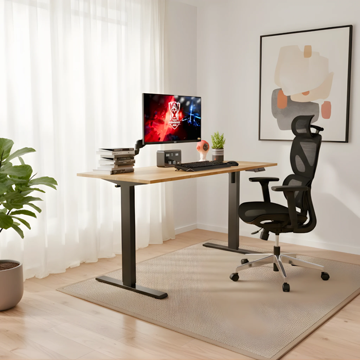 Combo văn phòng công thái học Modern comfort