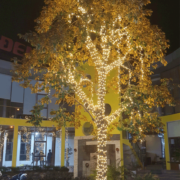 Tìm hiểu ưu nhược điểm của dây đèn LED trang trí ngoài trời - MDC LIGHTING