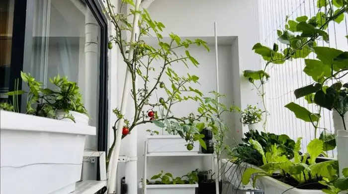 40+ Mẫu trang trí ban công chung cư đẹp và cực chill