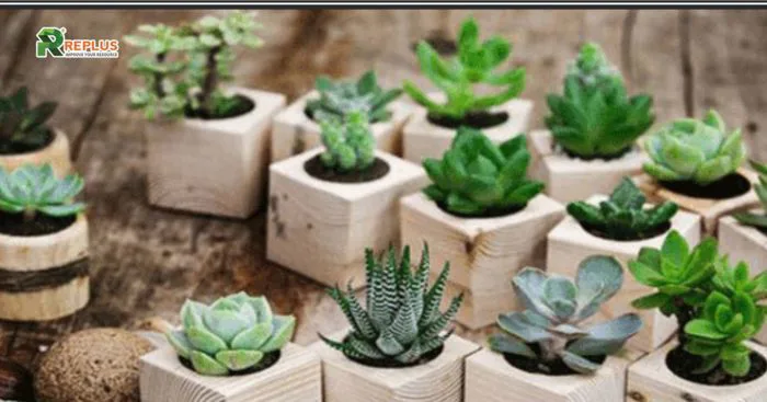 Gợi ý TOP 15+ đồ trang trí bàn làm việc đẹp và sáng tạo