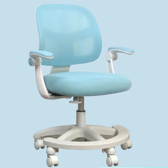 Ghế học sinh chống gù chống cận DRY-810 | Nội Thất Chính Hãng tại Miền Nam