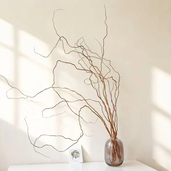 Cành Liễu Rồng Vàng Xoắn Tự Nhiên - Phụ Kiện Decor Studio Cao Cấp