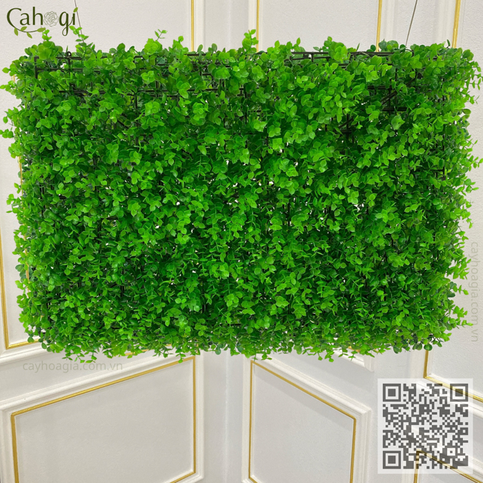 Thảm cỏ nhân tạo tai chuột tán cao – CaHoGi