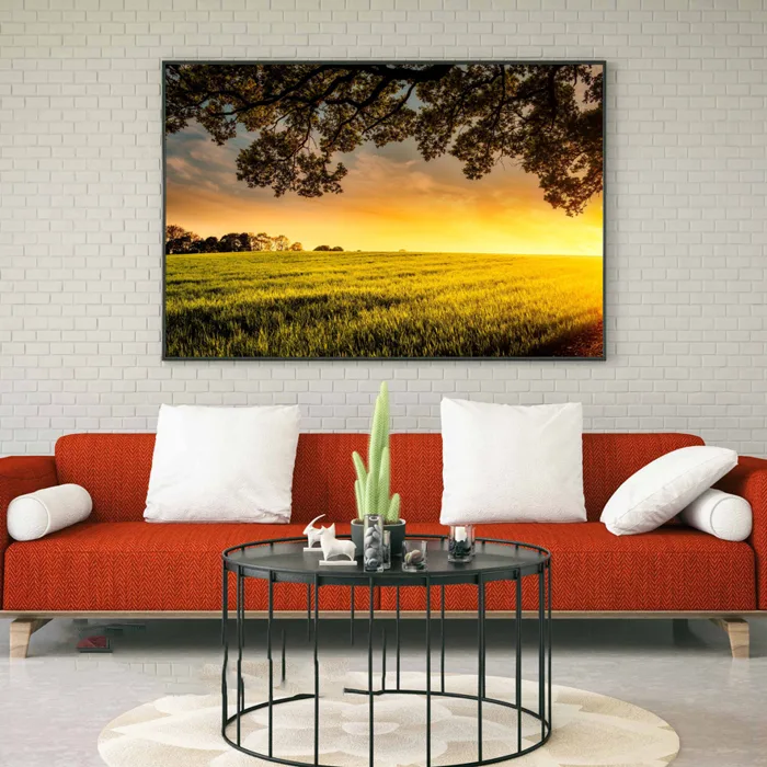 Tranh Canvas treo tường