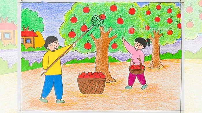 Vẽ mùa thu hoạch quả | Vẽ tranh mùa thu hoạch | Mùa thu hoạch mỹ thuật lớp  5 | Vẽ cuộc sống quanh em